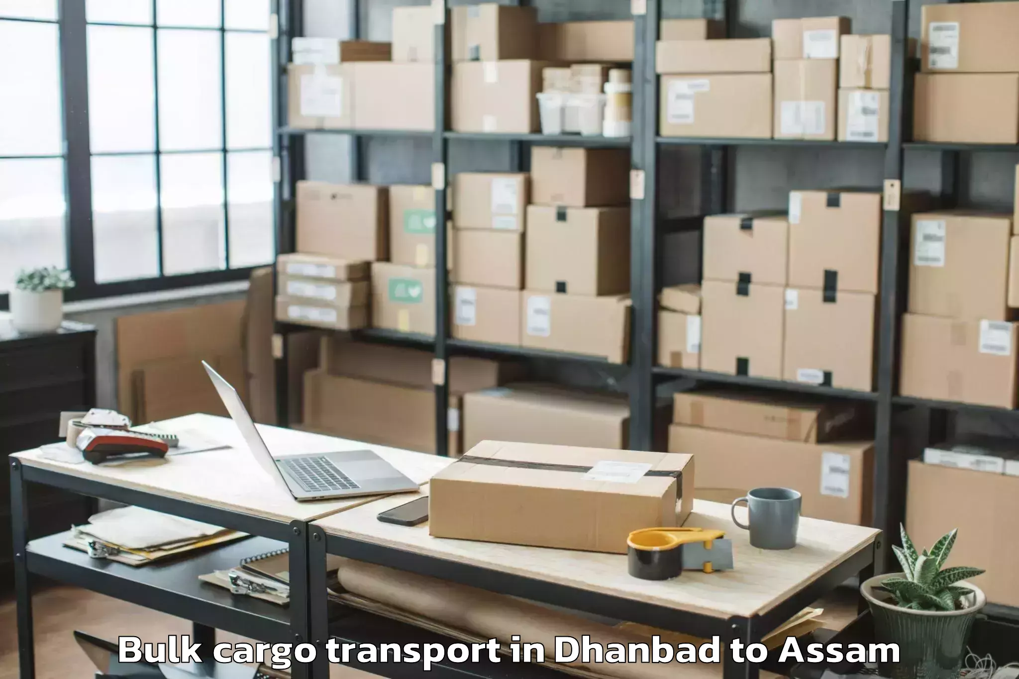 Top Dhanbad to Mirza Kamrup Bulk Cargo Transport Available